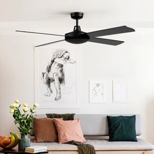 Ceiling Fans