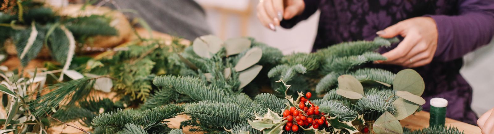 Χριστουγεννιάτικα Λουλούδια - Κλαδιά