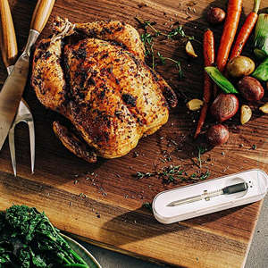 Kitchen Thermometers