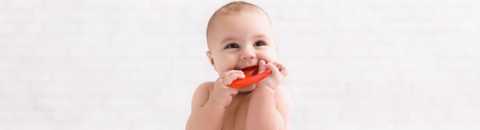 Teething Rings